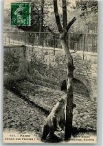 Paris Bär im Botanischen Garten Fotograf Hauser Eisbär 1913