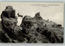W2000 Stellingen Markhor-Felsen mit Bergziegen Verlag Knackstedt & Näther 161 Zoo