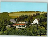 65385 W6220 Presberg , Rheingau Foto AK Gasthaus Rheingauer-Alp