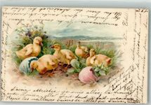 Küken Eier Ente 1900 Lithographie