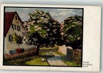 sign. Weber Holunderblüte Nr. 241 Teubner 1917 Künstlerkarte