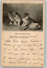 W1000 Berlin Mitte sign. Lambert Eugene Katzen Zigarre Tierschutz 1912 Gebrauchsspuren