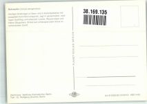 sign. Kleinwächter Matthias Rohrweihe Raubvogel Künstlerkarte