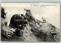 W2000 Stellingen Makhor-Felsen Verlag Knackstedt & Näther 169 Zoo