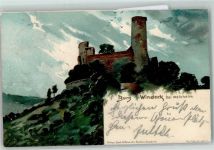 69469 W6940 Weinheim , Bergstr 1899 - Burg Windeck Vogel