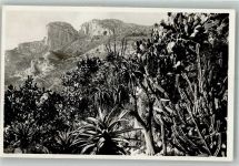 Monaco Foto AK Les Jardins Exotiques