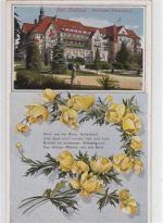 Bad Kudowa / Kudowa-Zdrój - Kreis Glatz / Klodzko. Kurhotel Fürstenhof mit Vers und Blumen ungelaufen Rückseite leicht stockfleckig, sonst gut erhalten