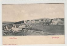 Braunlage. Villen - Colonie. ungelaufen um 1900 Ecken mit Albumabdrücken, leicht bügig, sonst gut erhalten