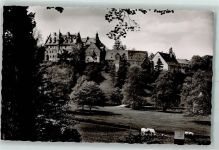 36341 W6420 Lauterbach Hessen Gebrauchsspuren Schloss Eisenbach Kühe
