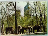 W1000 Berlin Mitte Elefanten Freianlage AK Zoo