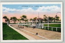 Greyhound Racing in Florida AK Windhund