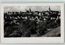 Zatec Saaz