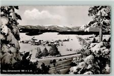 79853 W7825 Saig Gebrauchsspuren Winter