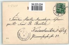 04703 O7320 Leisnig 1901 - Mirus Park die beiden Taxuspyramiden standen in Blumentöpfen zu beiden Seiten der Haustüre