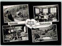 98711 O6304 Frauenwald - Gasthaus Fraubachmühle