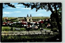 86650 W8853 Wemding Foto AK Kirche St.Emmeram Gänse