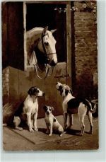 Pferd Beagel Harrier Jack Russell Jagdhund 1921