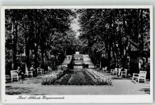 Bad Altheide Polanica Zdroj - Kurpromenade