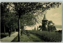 78462 W7750 Insel Mainau - Schwedenturm Reben