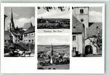 54424 W5509 Thalfang - Schafe