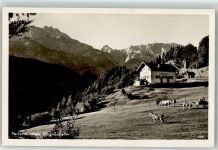 82467 W8100 Partenkirchen Foto AK Partnachalm Kühe Rinder