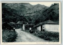 Madeira - Estrada do Interior