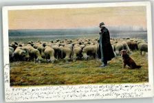 Hirte Hund D.T.C.L Serie 155 Schaf 1902
