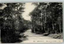 33120 Arcachon 1915 - Route de la Cornische