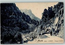 20276 Asco - Corse Gorges d`Asco
