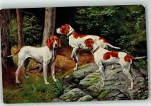 T.S.N. Serie 1079 AK Jagdhund Künstlerkarte
