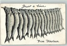 Aberdeen Just a Line Fisch Lithographie