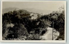 4362 Bad Kreuzen - Ruine