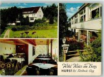 51570 W5227 Hurst , Siegkr - Hotel Haus am Berg Kühe