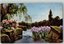 See Blumen Landschaft FMK Nr.7450 Natur