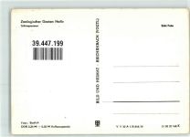 06108 O4002 Halle Saale - Zoologischer Garten Schimpansen