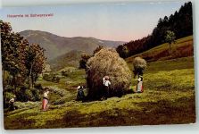 Heuernte im Schwarzwald Nr 3438 Schwarzwald