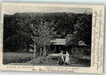 Zelezná Ruda Markt Eisenstein 1911 - Gasthaus am schwarzen See
