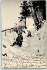 Schlitten 1904