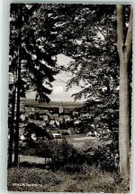 59929 W5790 Brilon Foto AK