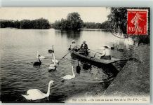 69000 Lyon 1909 - un Coin du Lac au Parc de la Tete d`Or Schwan