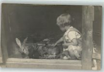 Kind Hase Privatfoto AK