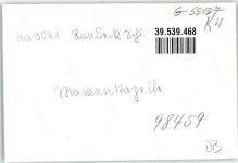 Bad Landeck Ladek-Zdroj FOTO KEINE AK Ort handschriftlich Marienkapelle