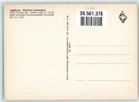 66679 W6646 Scheiden Werbe AK Pension Jagdhaus Leineweber Hohe Tannen 20
