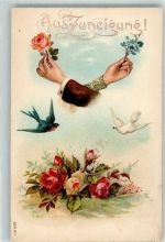 Liebe Taube Vergissmeinnicht Schwalbe Lithographie Rose Prägedruck