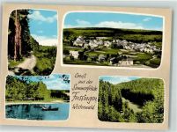 65620 W6251 Fussingen Foto AK Waldweg See Ruderboot Gruß Sommerfrische Westerwald