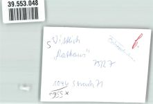 54516 W5560 Wittlich FOTO KEINE AK Rathaus VW Käfer Ort handschriftlich