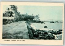 Conakry Konakry - Guinee Francaise Palmen