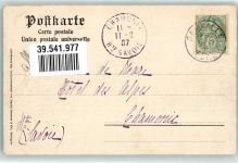 78462 W7750 Insel Mainau 1907 - aus dem Schlossgarten