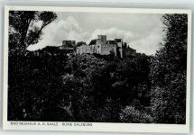 97616 W8740 Bad Neuhaus - Ruine Salzburg