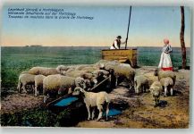 Hortobagy - Tracht Schafe ziehbrunnen